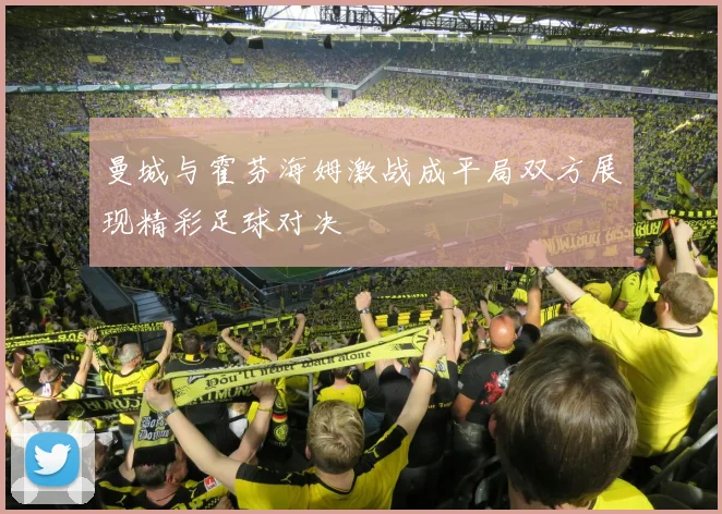 曼城与霍芬海姆激战成平局双方展现精彩足球对决